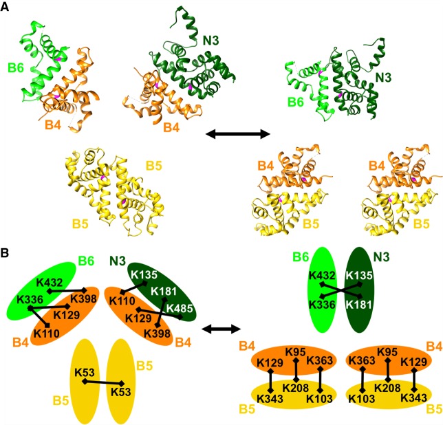 FIGURE 7.