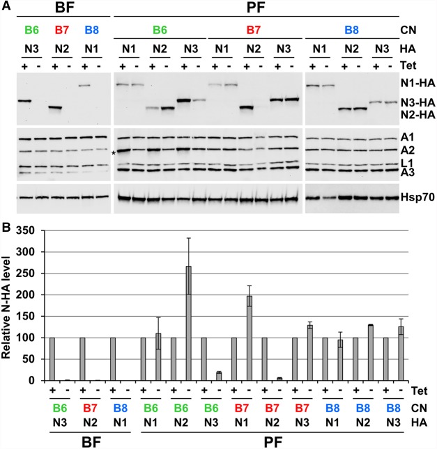 FIGURE 4.