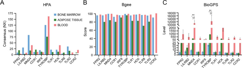 Fig. 9