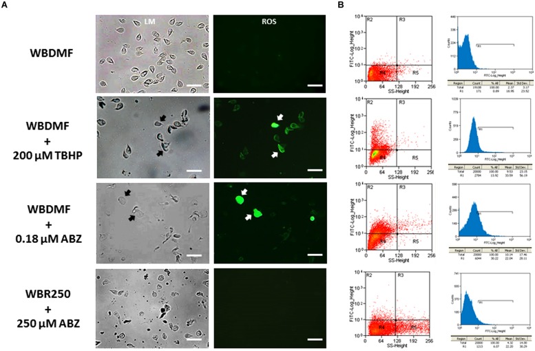 FIGURE 2