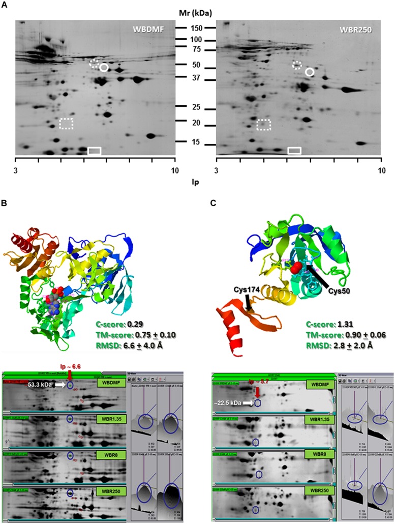 FIGURE 3