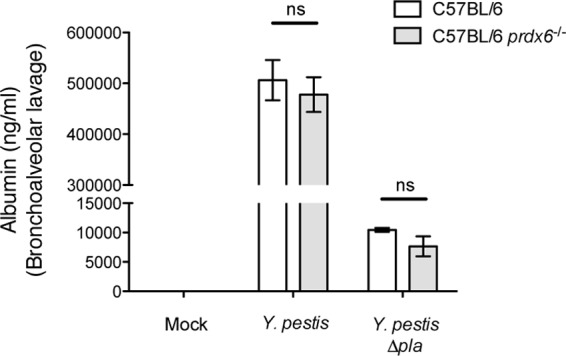 FIG 7