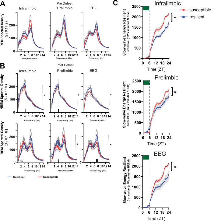 Figure 5—figure supplement 1.