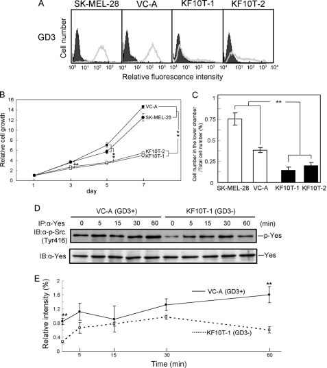 FIGURE 9.