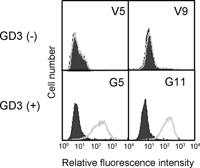 FIGURE 1.