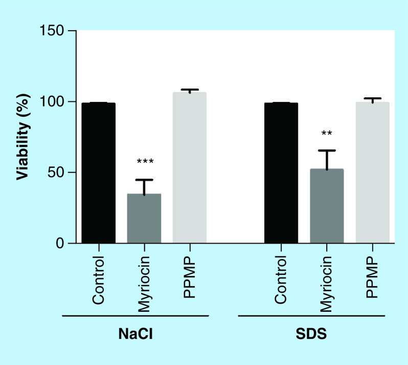 Figure 7. 