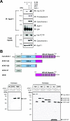 Figure 4Figure 4