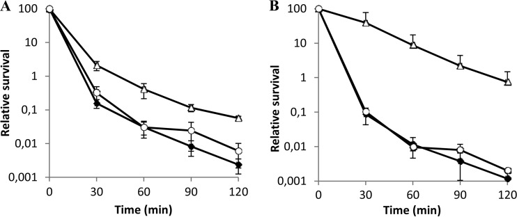 FIG 4