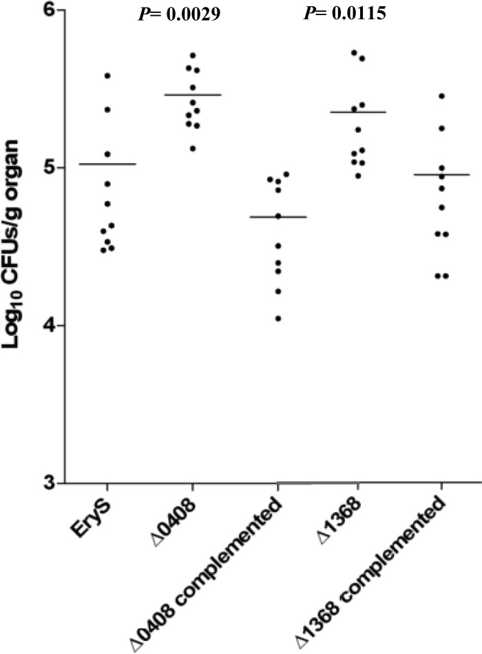 FIG 2