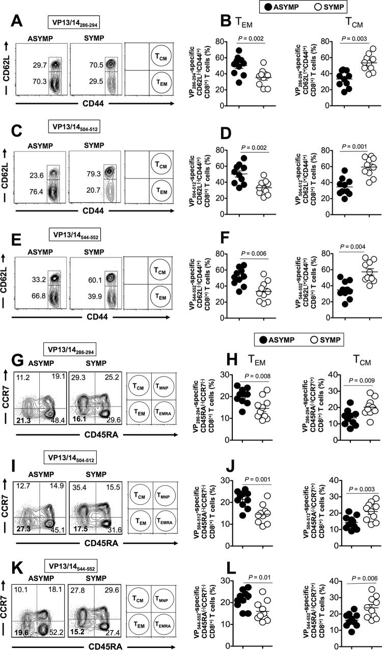 FIG 3