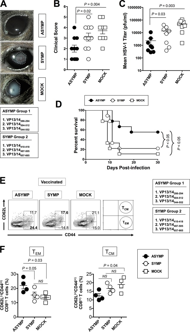 FIG 6