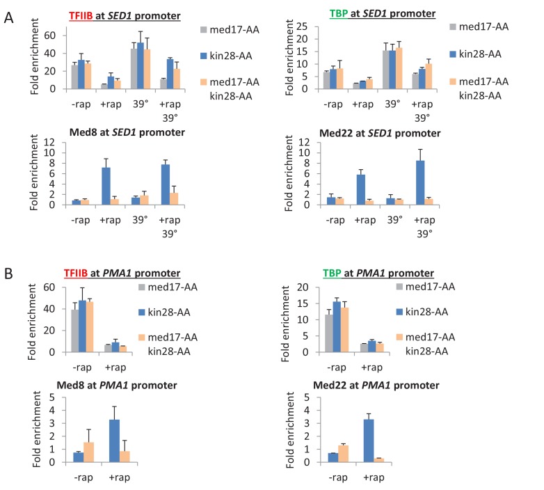 Figure 4—figure supplement 2.