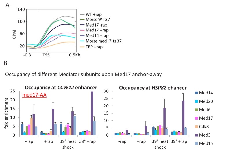 Figure 1—figure supplement 1.