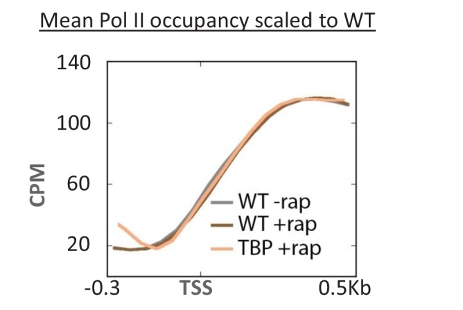 Figure 3—figure supplement 1.