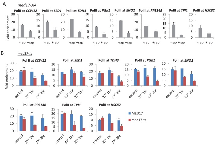 Figure 1—figure supplement 3.