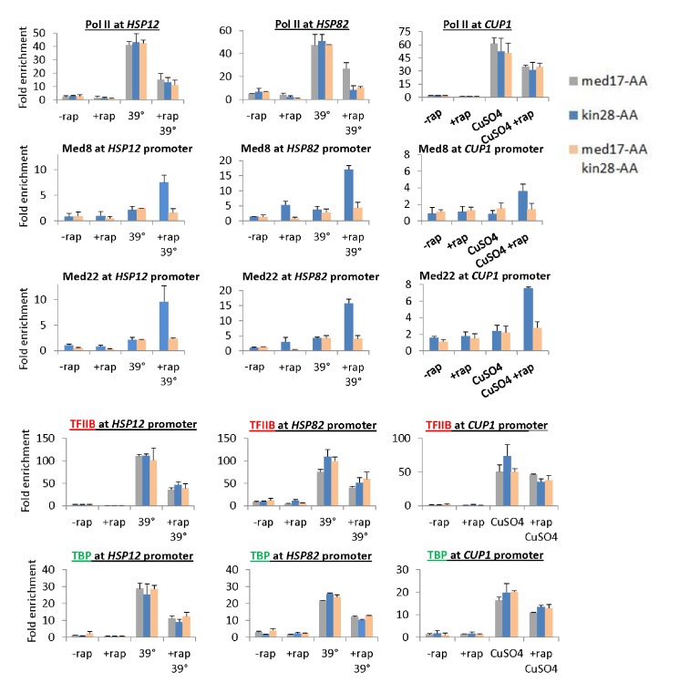 Figure 4—figure supplement 1.