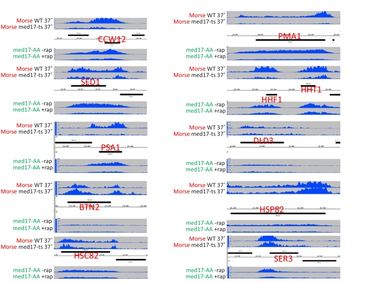 Figure 1—figure supplement 2.