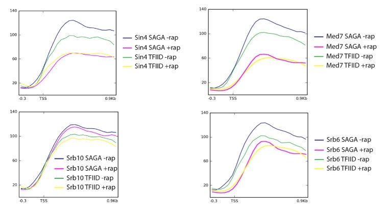 Figure 2—figure supplement 1.