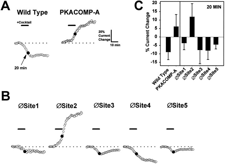 Fig. 3.