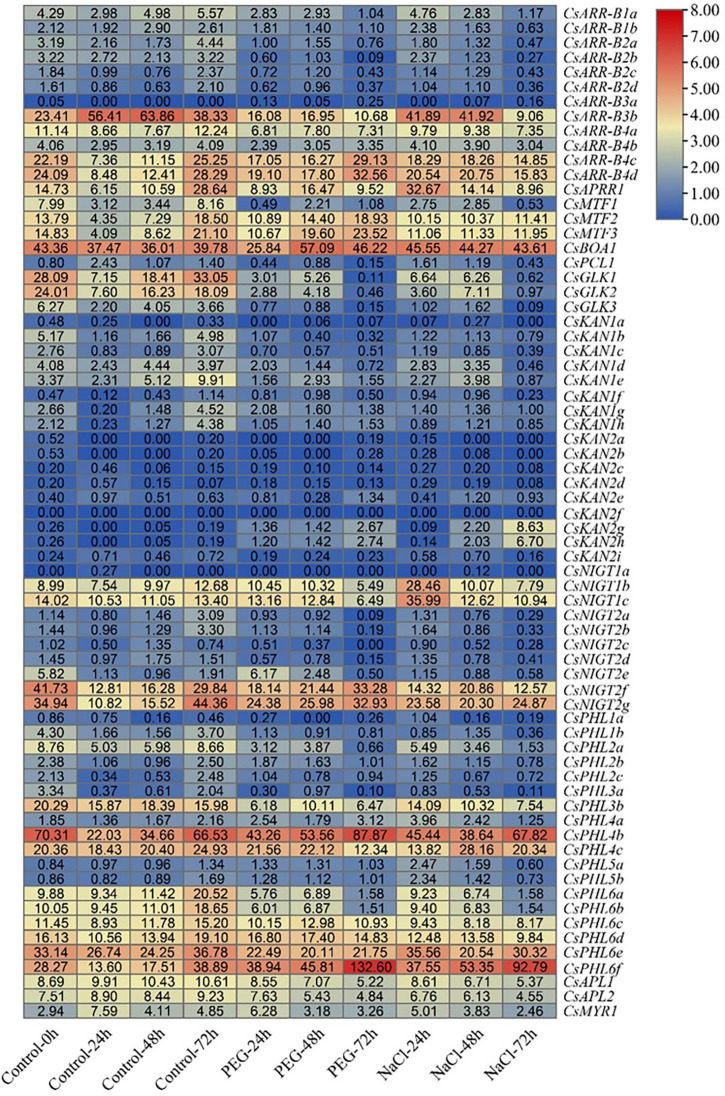 FIGURE 11