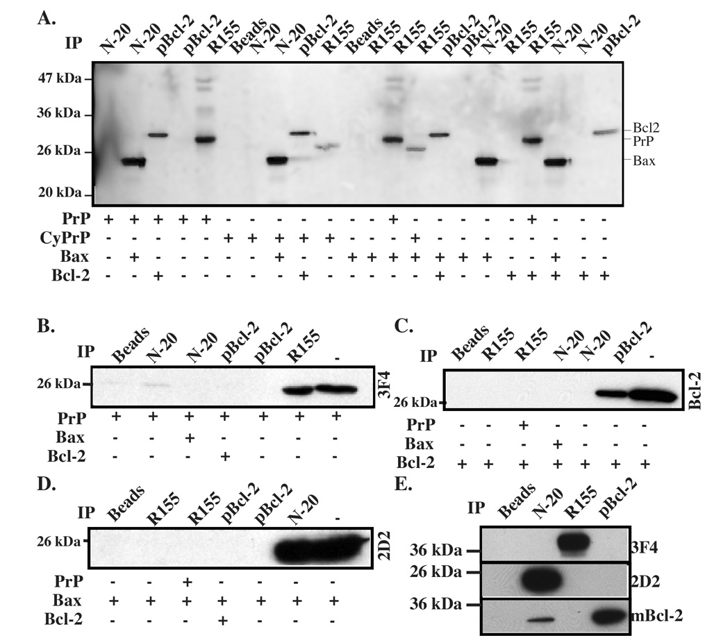 Fig. 8