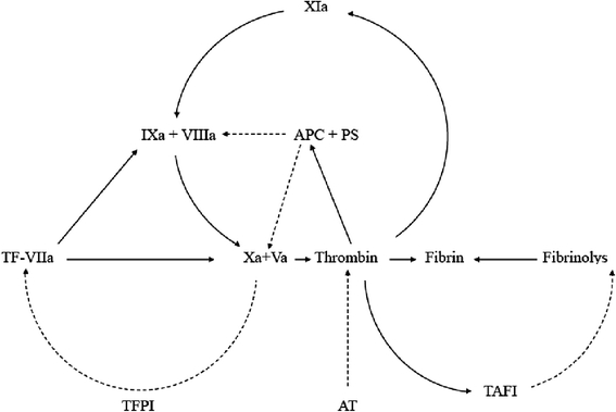 Fig. 1