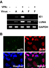 FIG 5