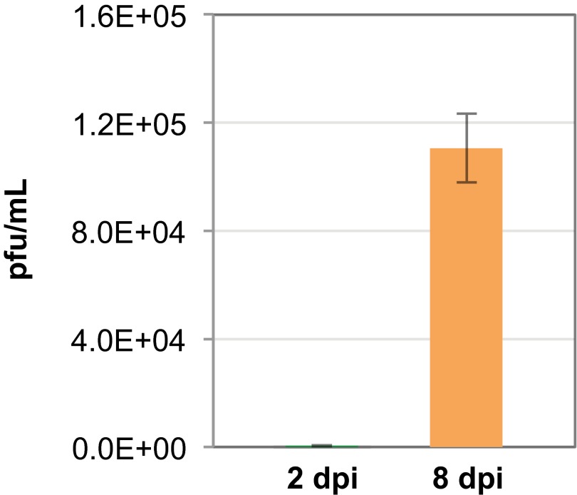 FIG 3 