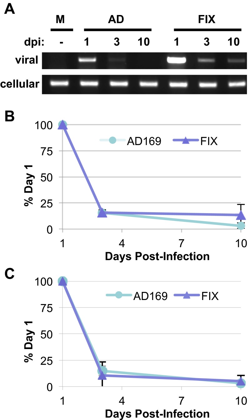 FIG 6 