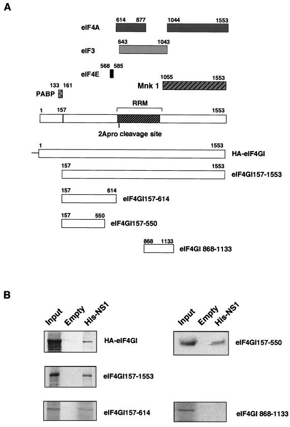 FIG. 4