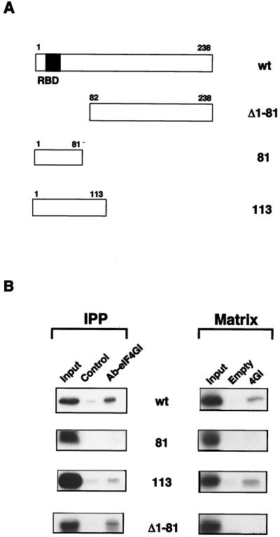 FIG. 6