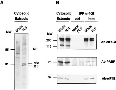 FIG. 7