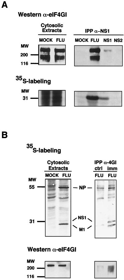 FIG. 1