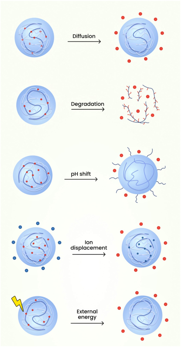 FIGURE 11