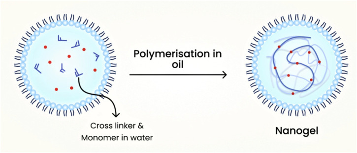 FIGURE 10