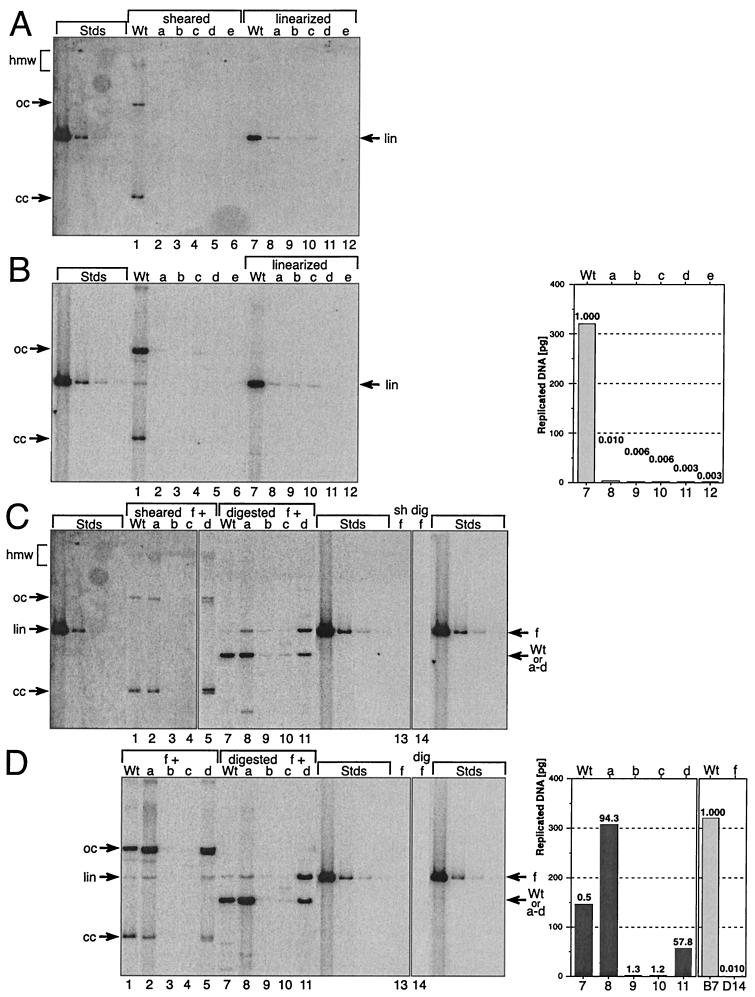 FIG. 6.