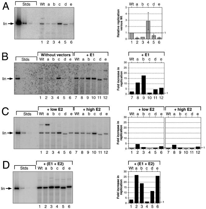 FIG. 2.