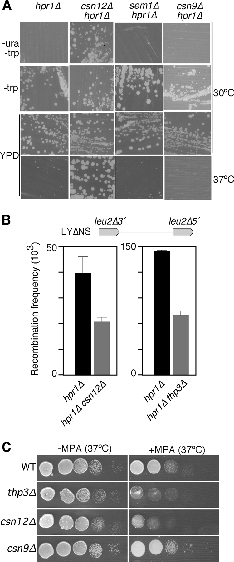 FIG. 8.