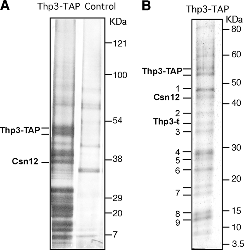 FIG. 7.