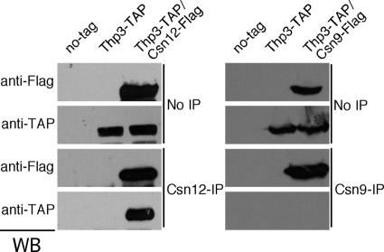 FIG. 9.