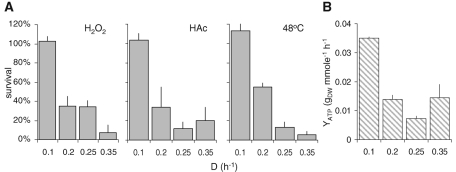 FIGURE 5: