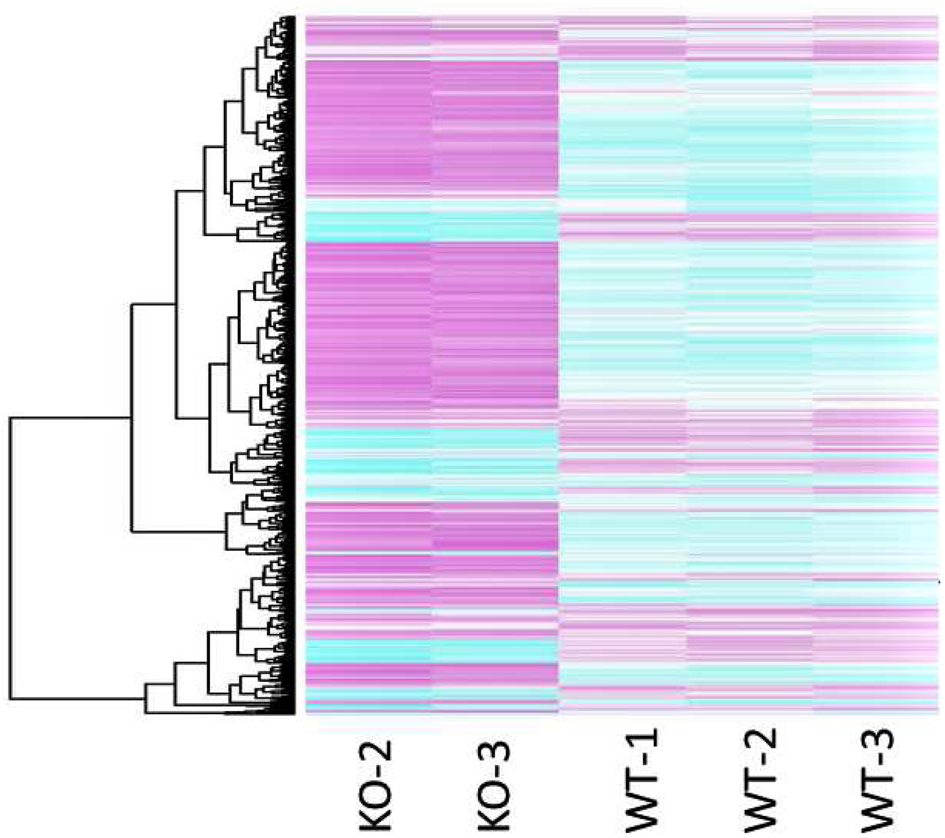 Figure 2: