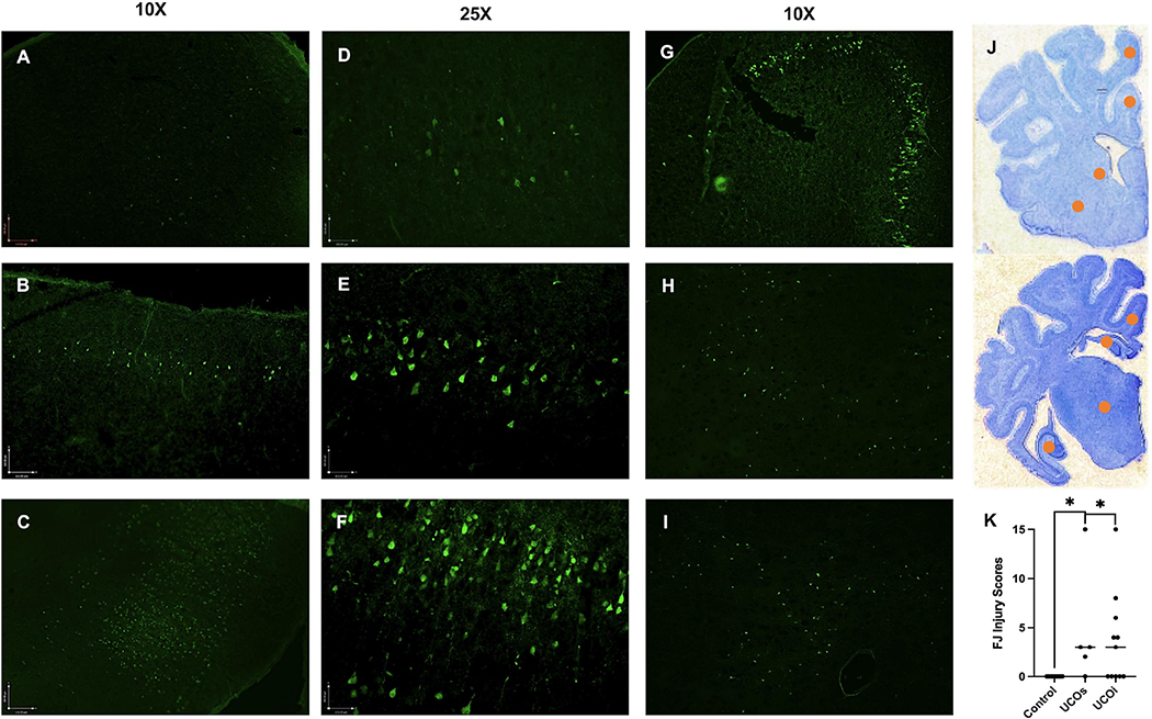 Figure 6: