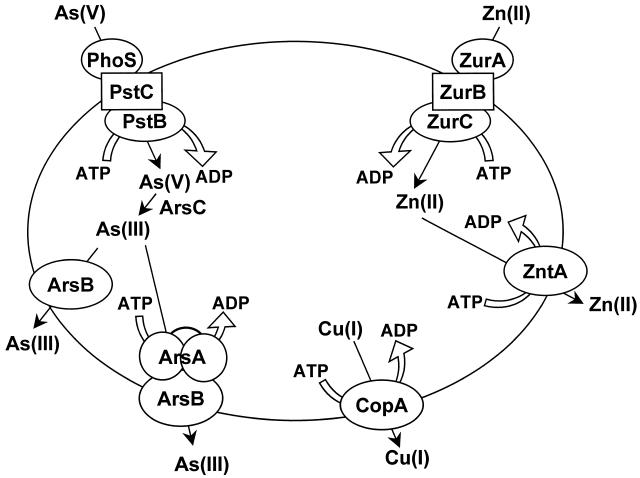 FIG. 1