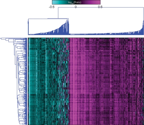 Figure 2.