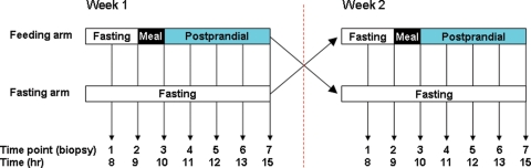 Figure 1.