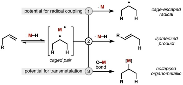 Scheme 1.