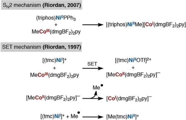 Scheme 4.