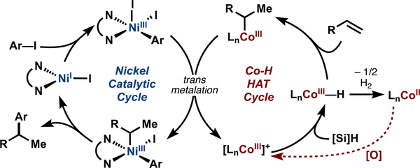 Figure 11.