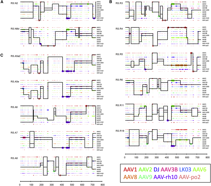 Figure 4